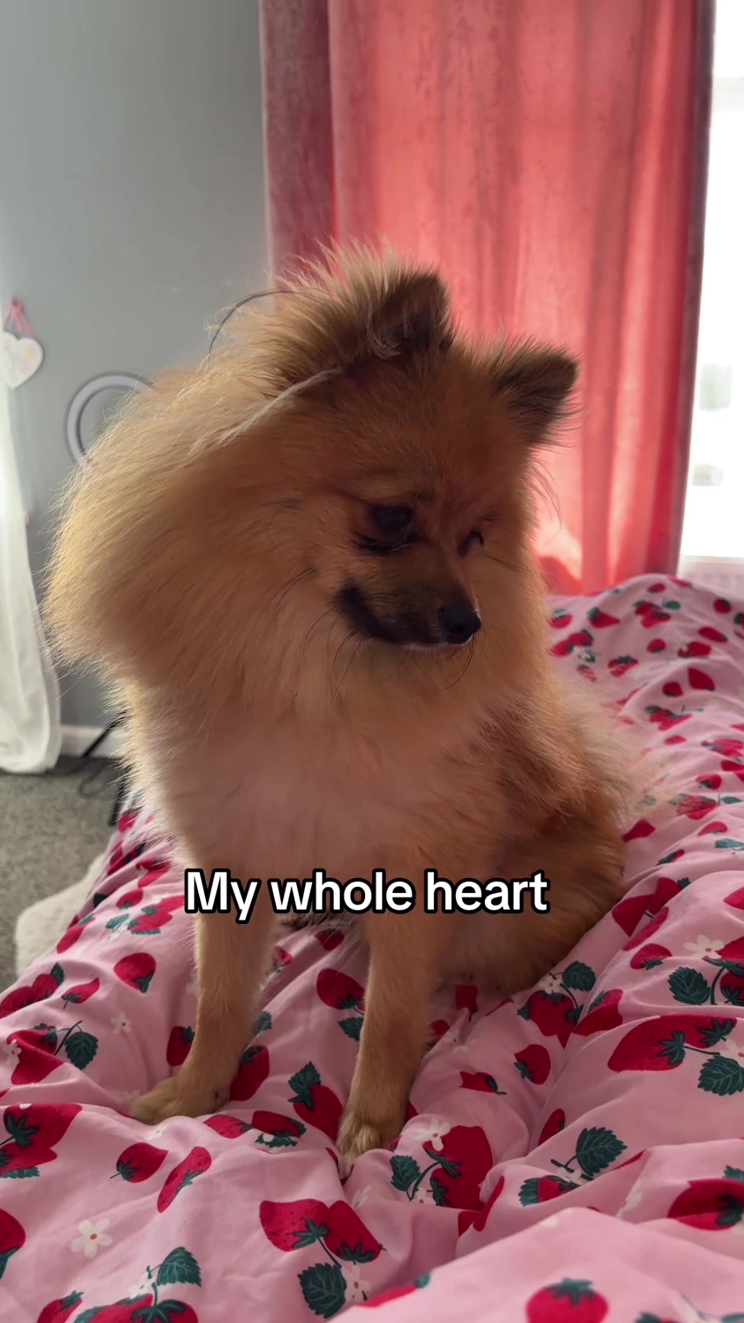 @LH💕