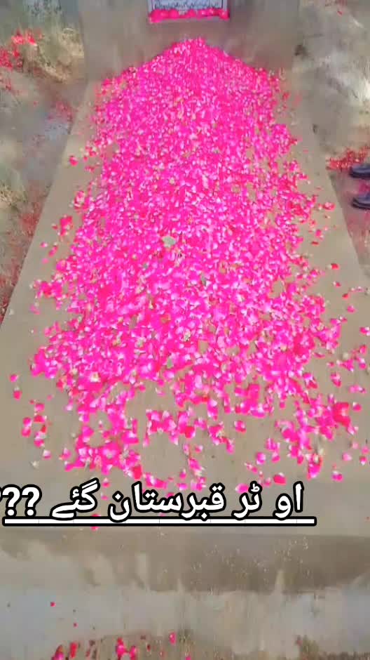 @Usama Maher khiali Wala🤬