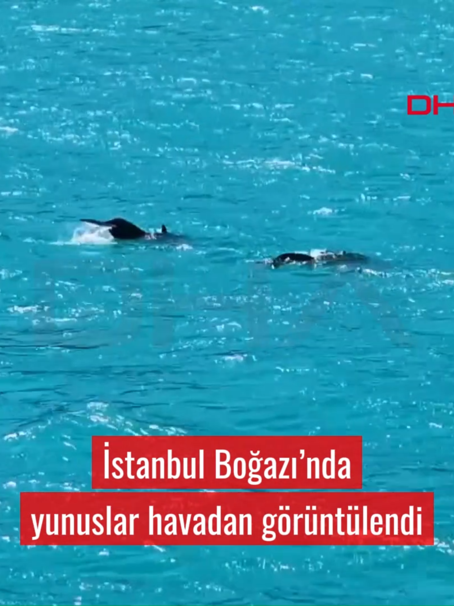 @Demir&ouml;ren Haber Ajansı