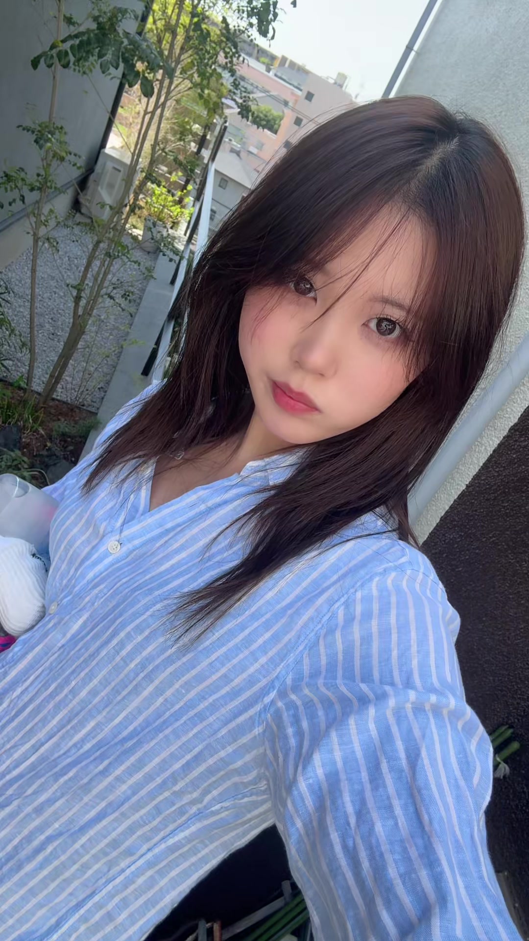 @mion_n10