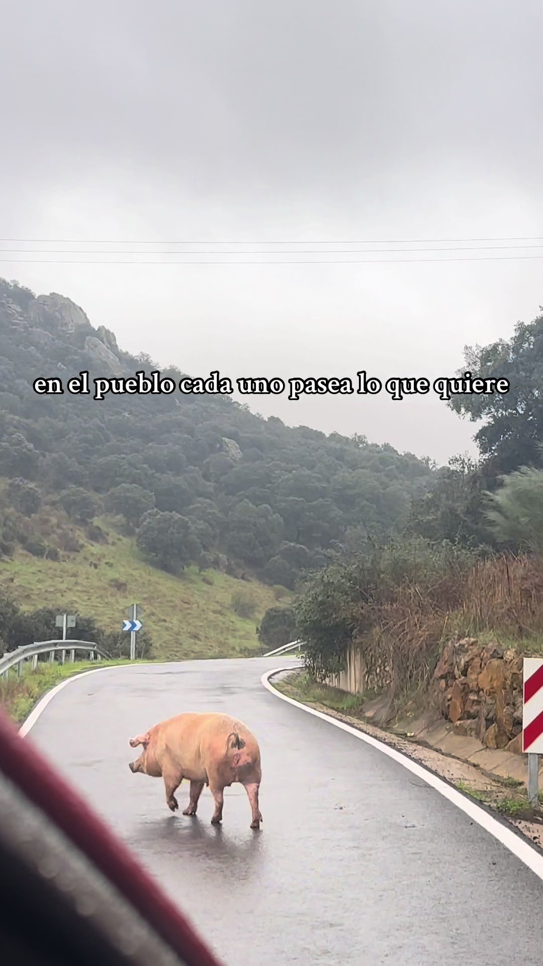 @Cristina Risco.📌