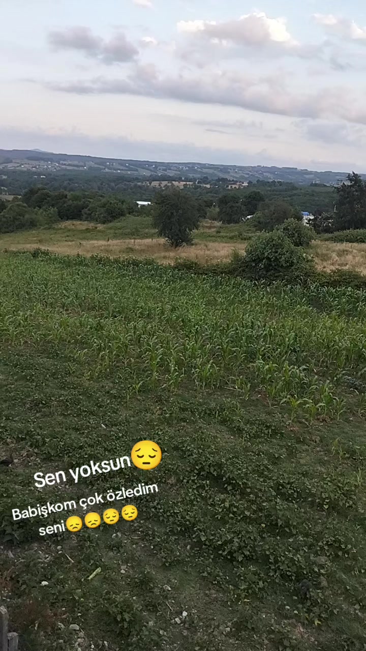 @sevimcannefes