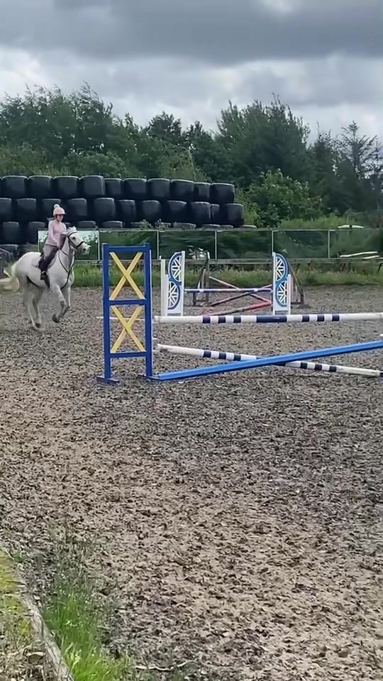 @liliys.mainacs2