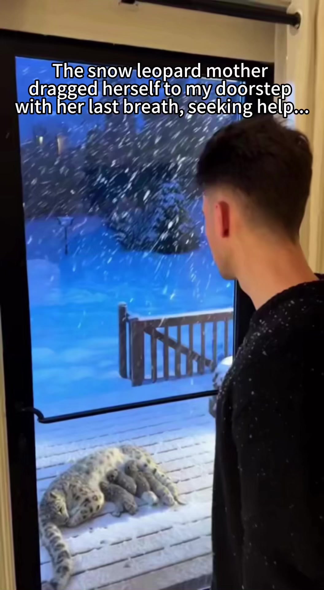 @soccerfan765