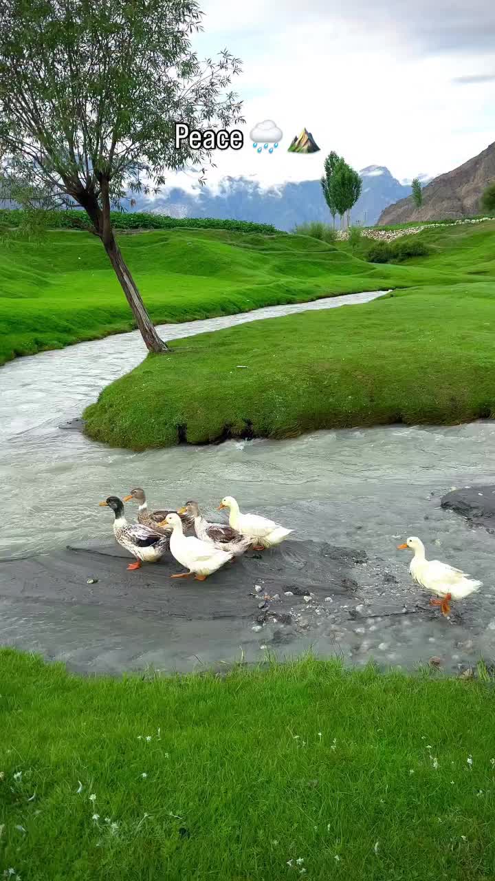 @beautifulplaces022