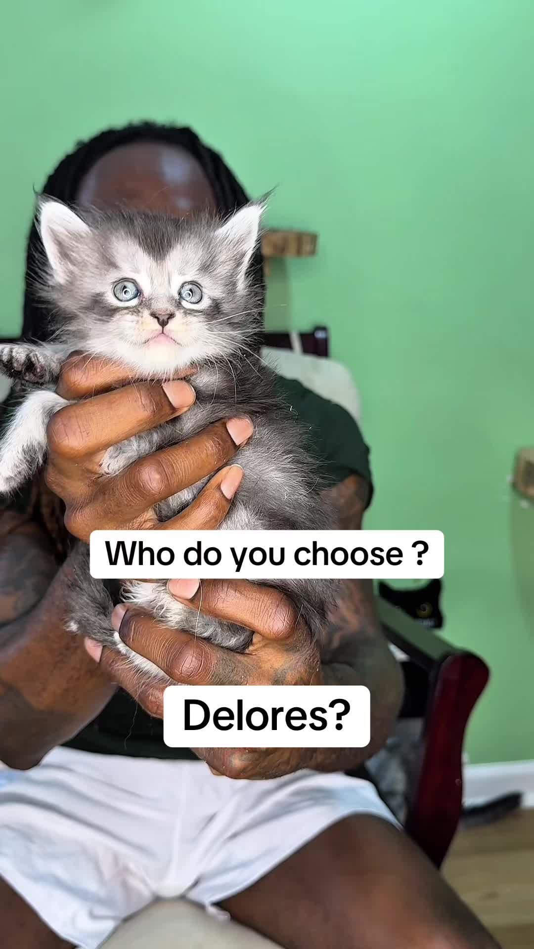 @Tycoon_Mainecoons