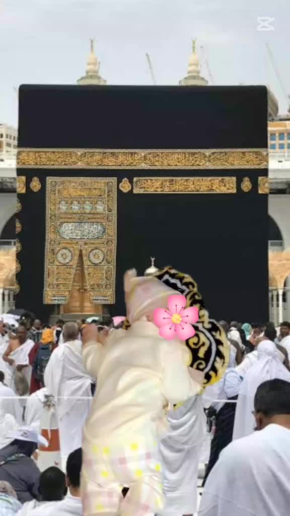 @mama&baba ka Motasim 🫀