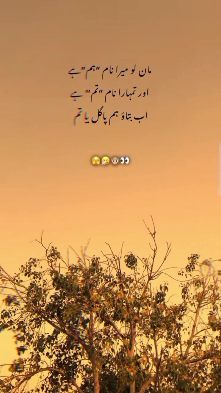 @❥♕⋆𝐙.𝐇⋆♛♒︎