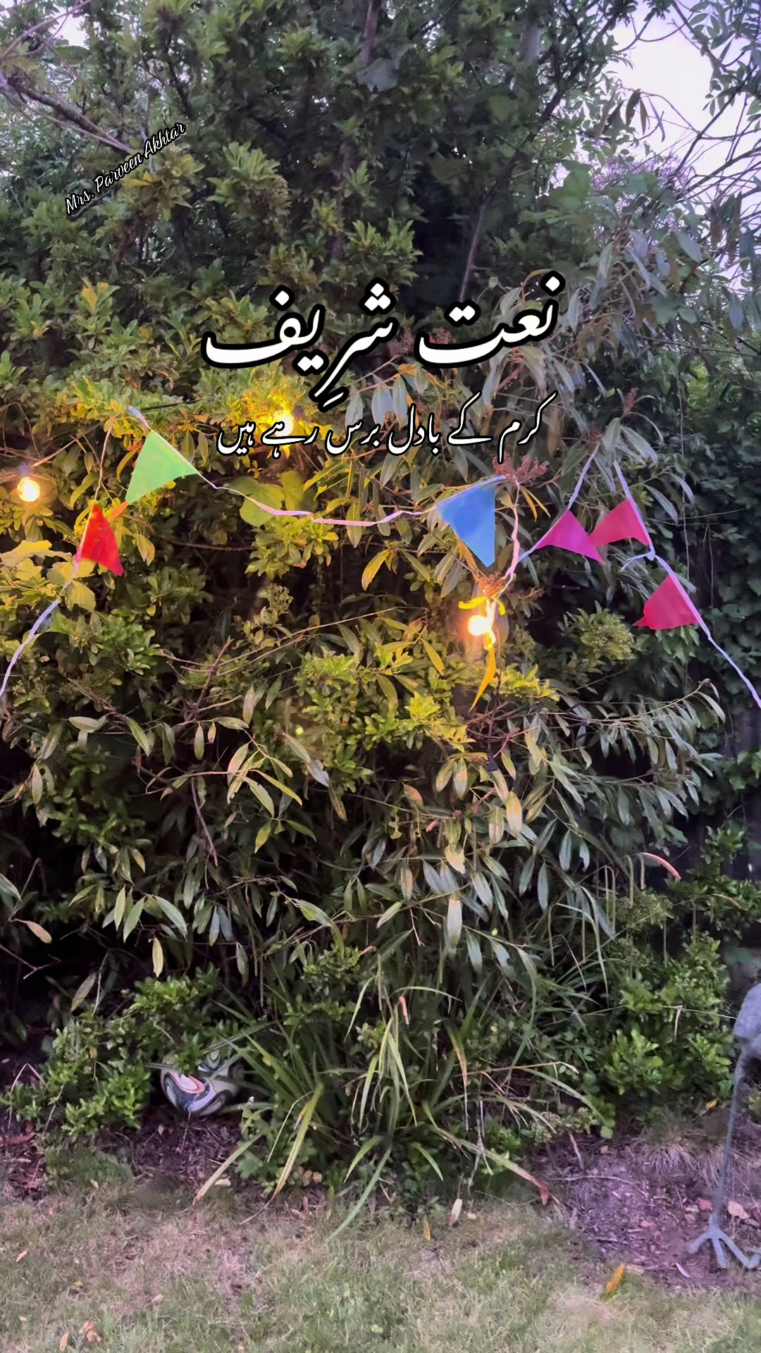 @Parveen Akhtar