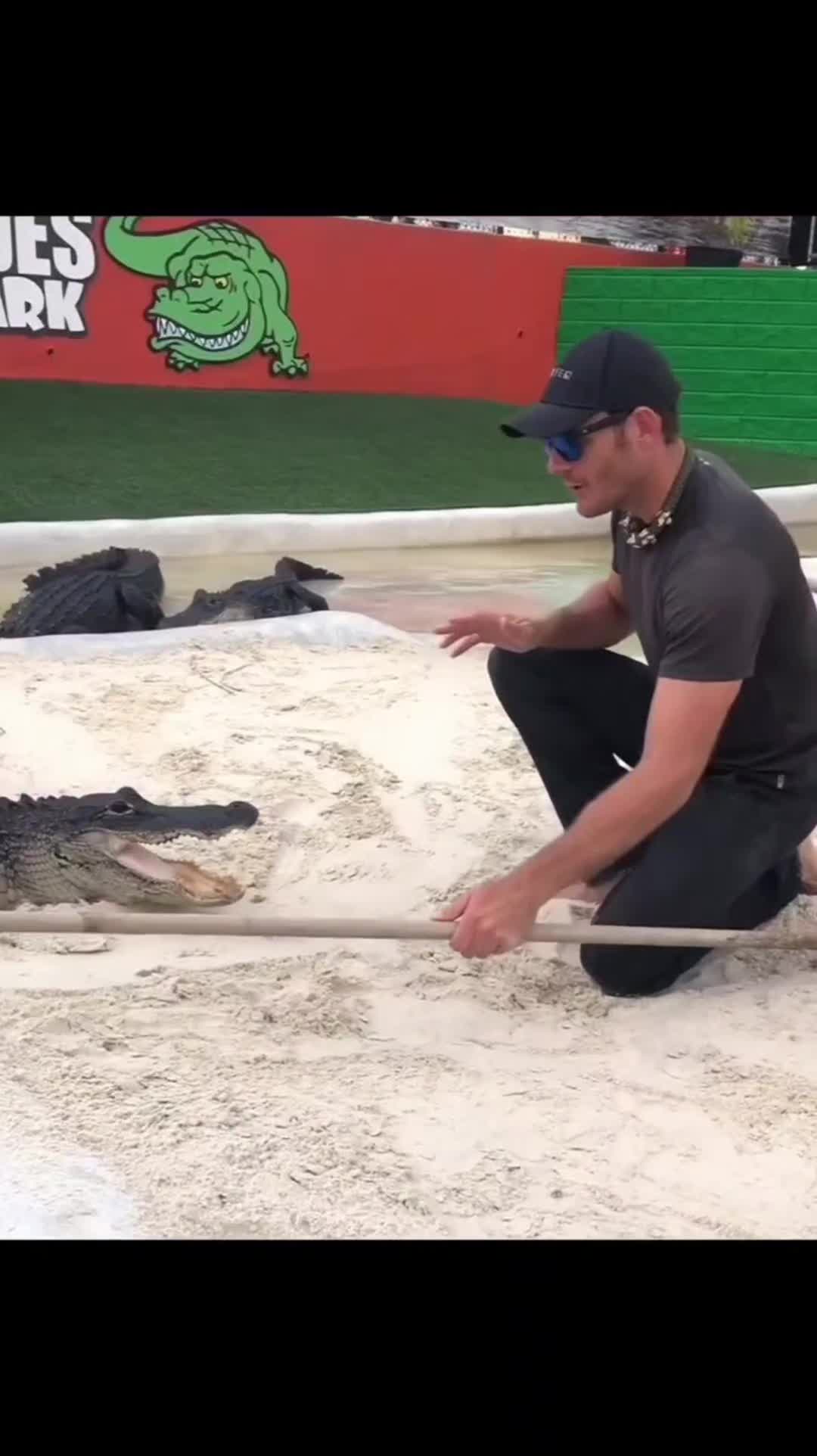 @Bigdaddyleo