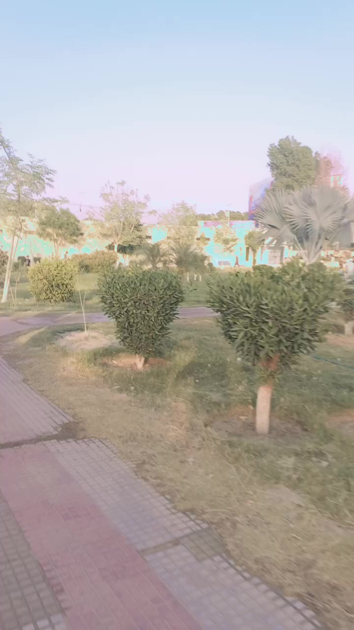 @noreenss3