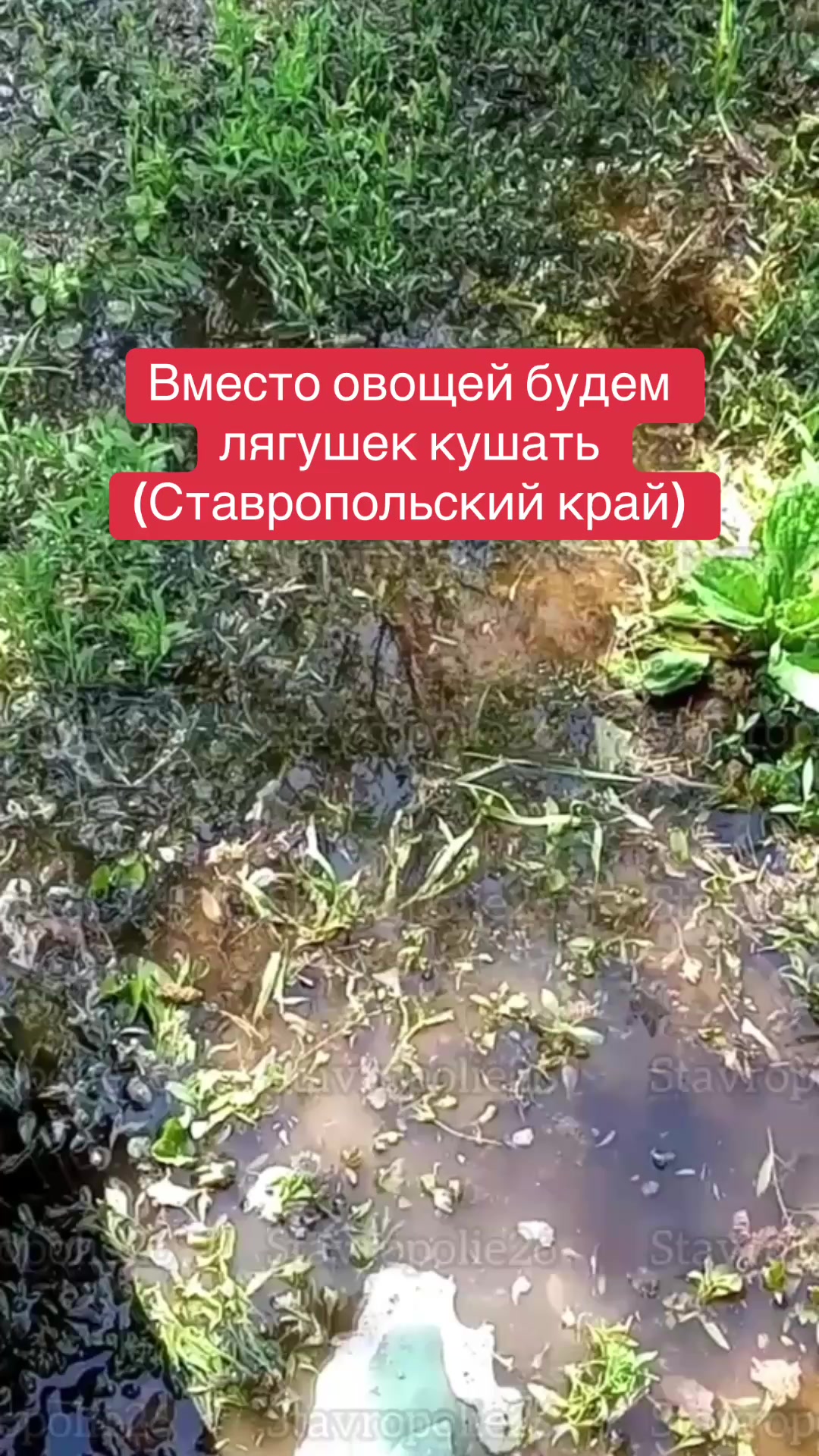 @СТАВРОПОЛЬ И КРАЙ