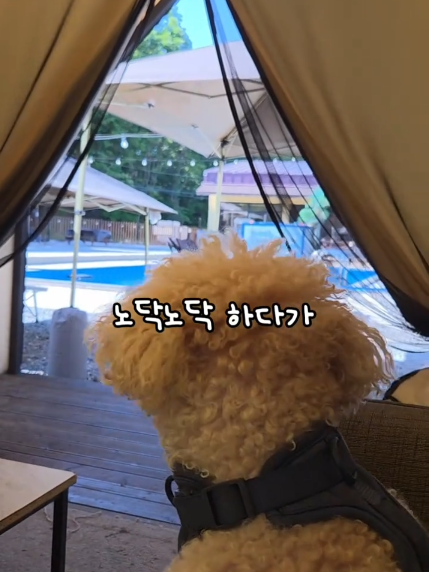 @🔎◀️ 제품보기 클릭 ◀️