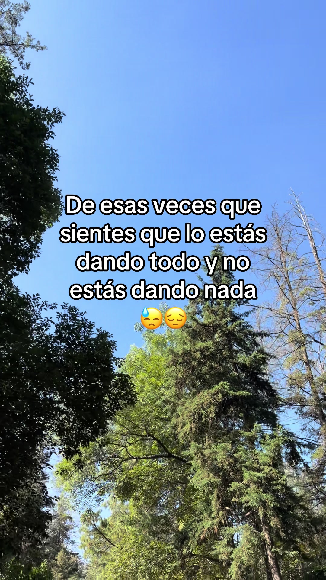 @Los Renys