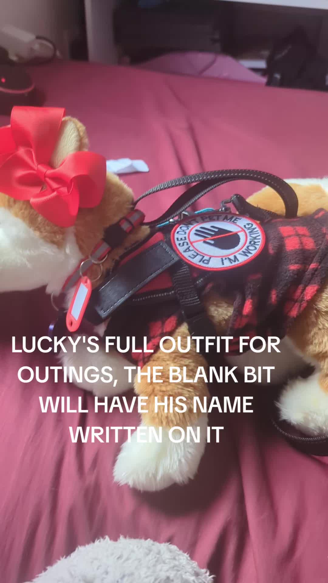 @⭐🐥Lucky Ducky🐥⭐