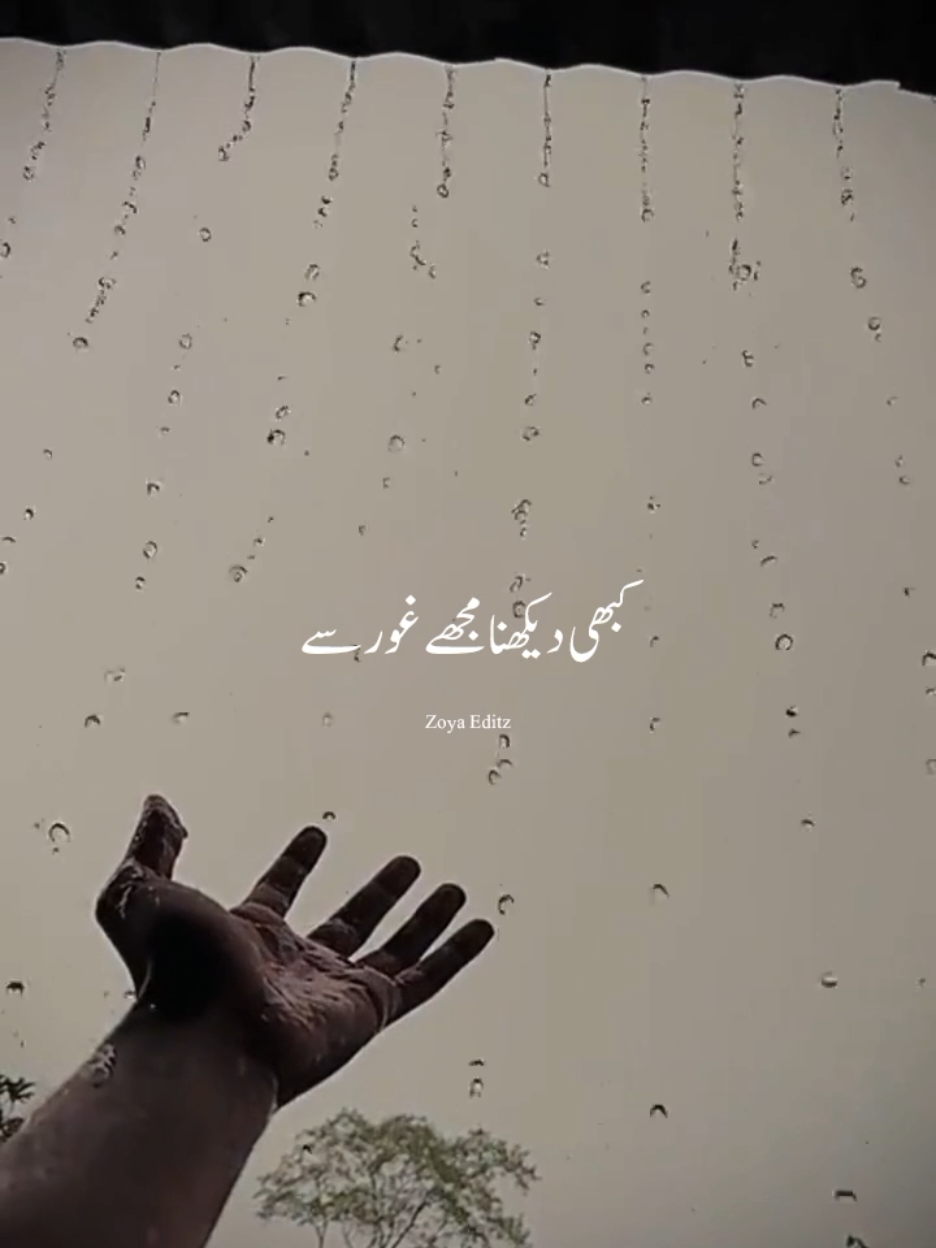 @𝐙𝐨𝐲𝐚 𝐄𝐝𝐢𝐭𝐳 💫