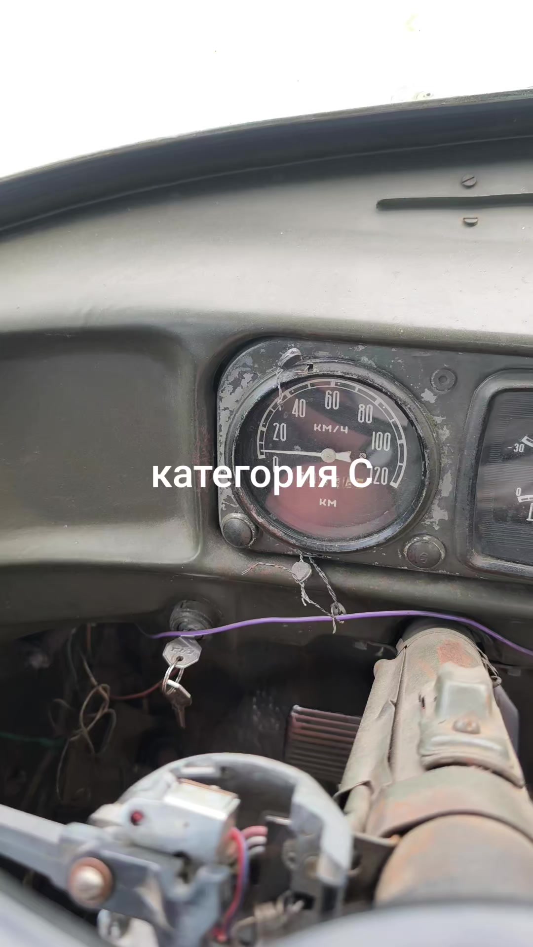 @yuricsolikcarp