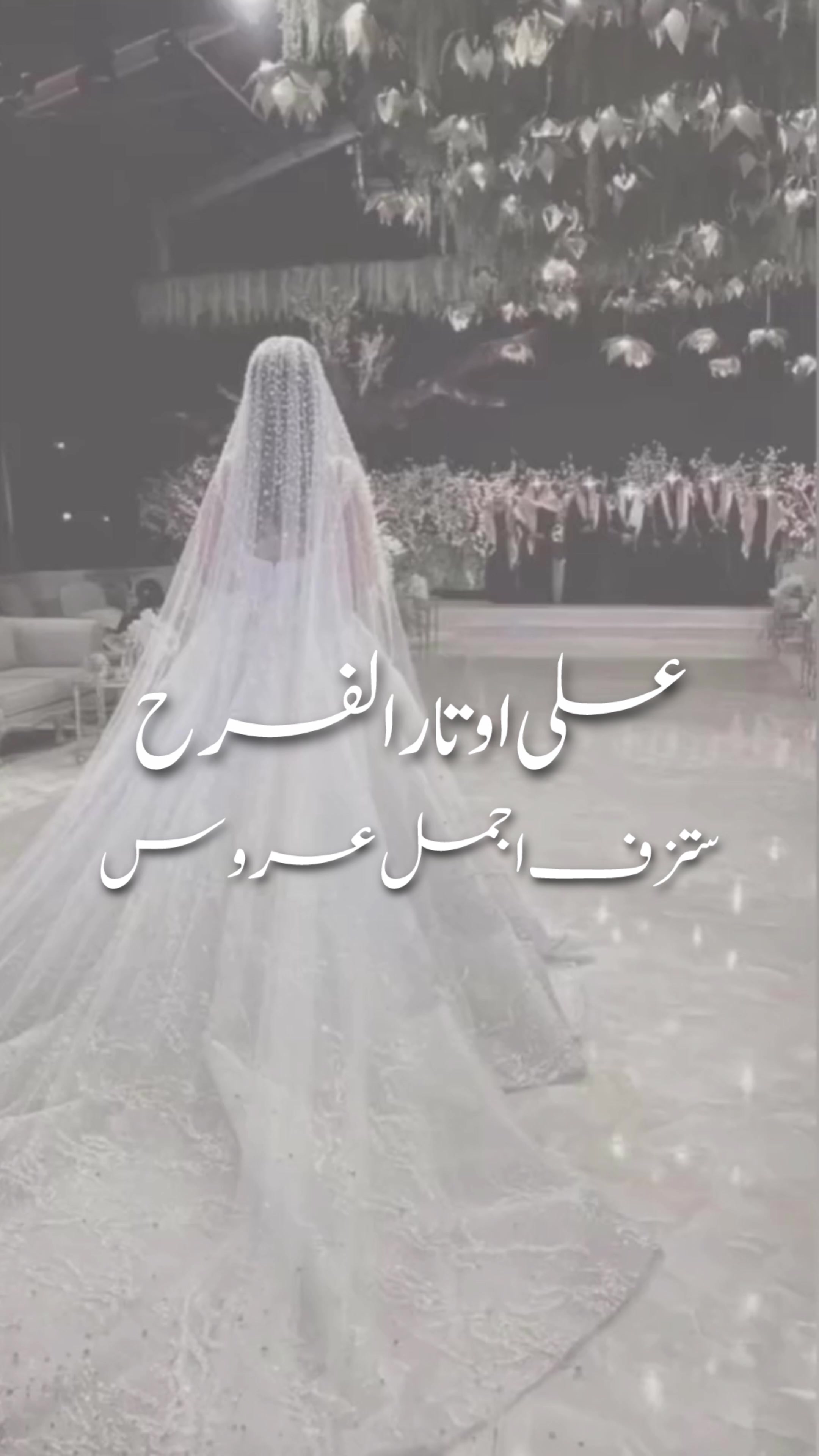 @متجر دان | DAN