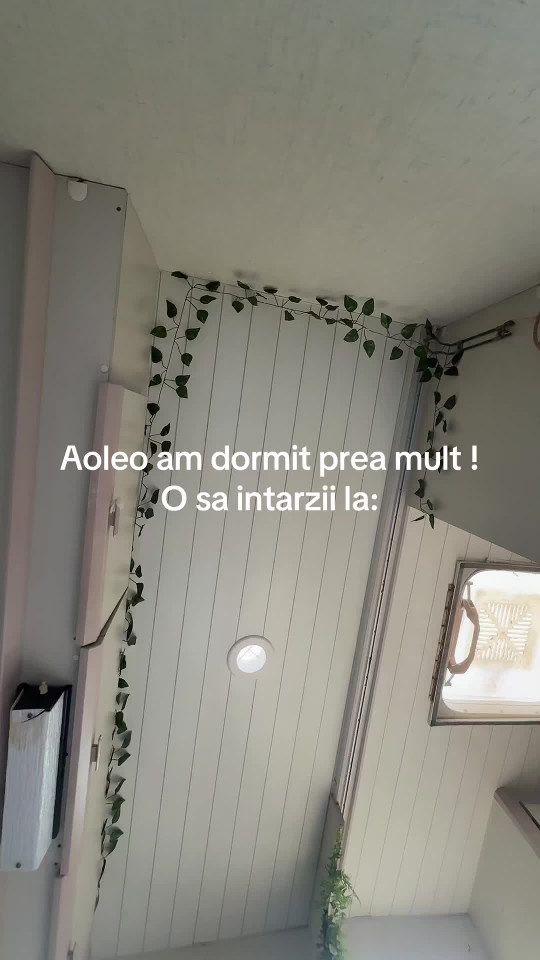 @Max Konstant
