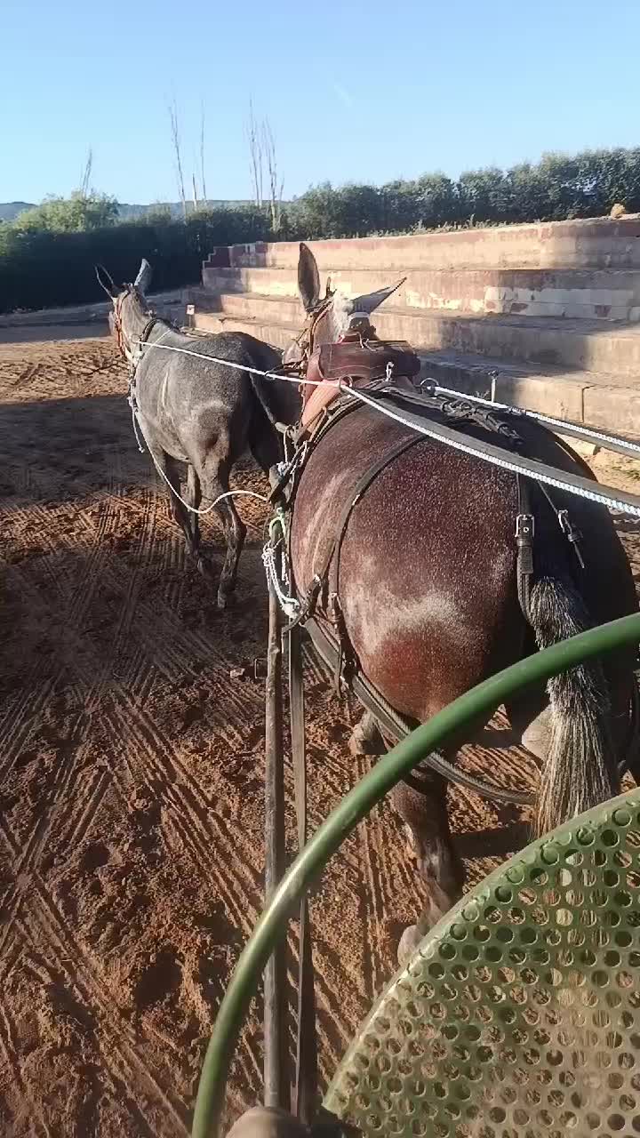 @Fran_mu&ntilde;ozruano