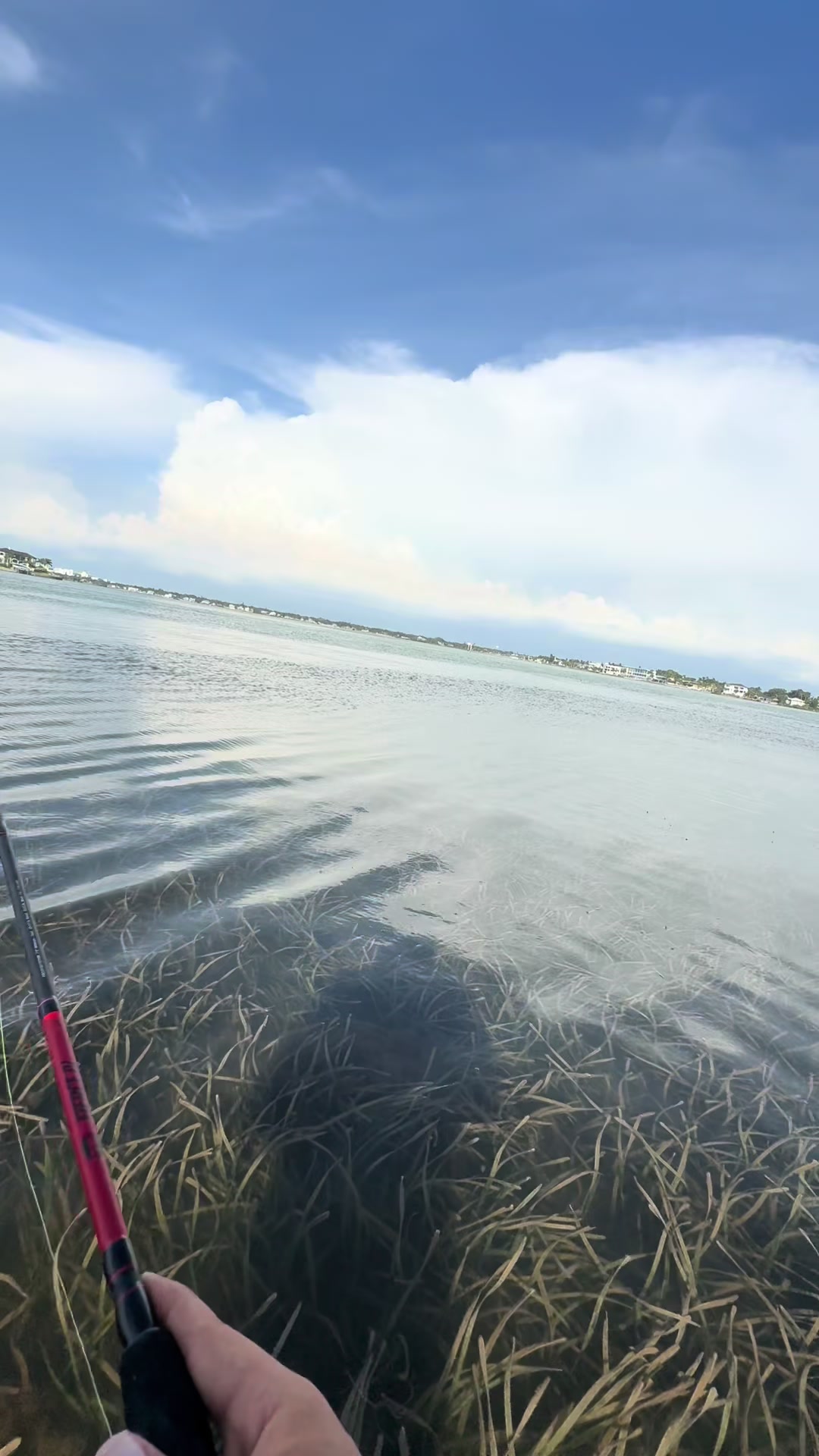 @Gotitfishing