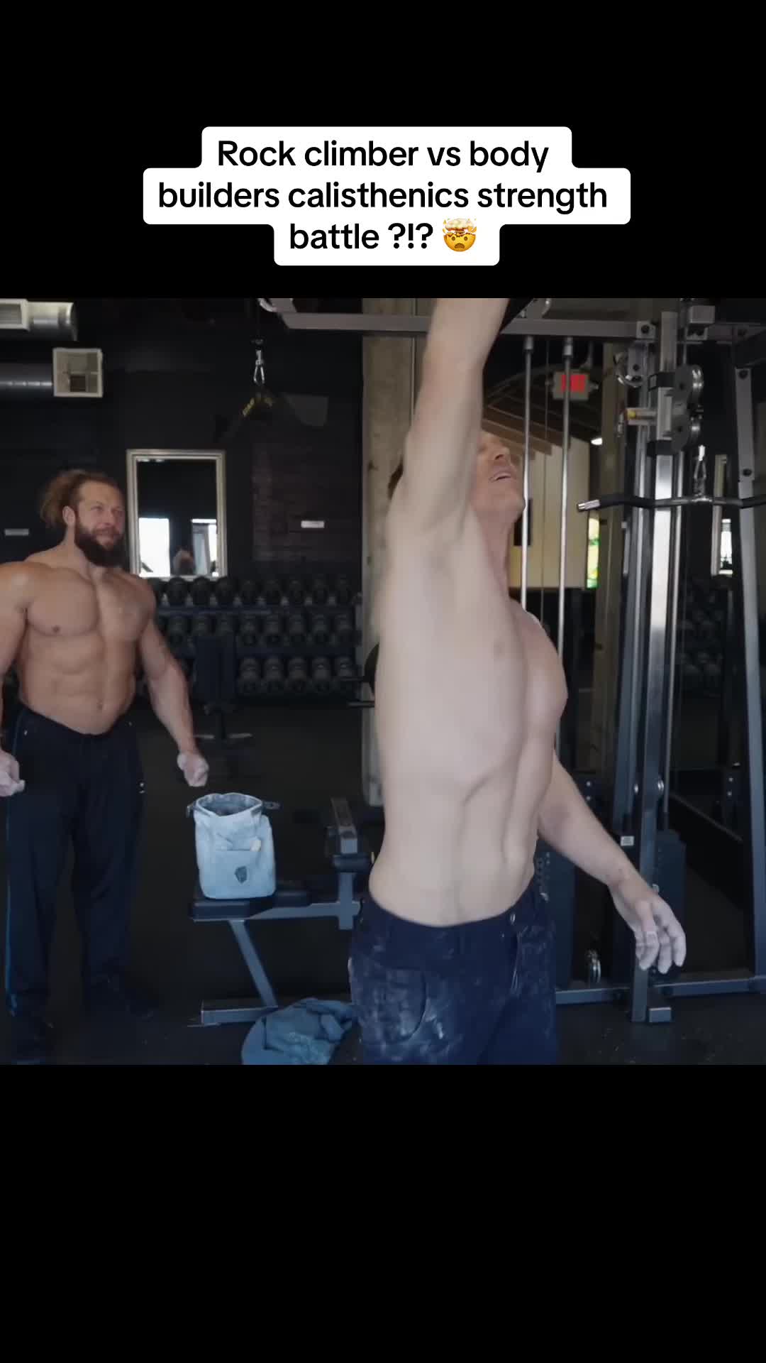 @wholefitnesss