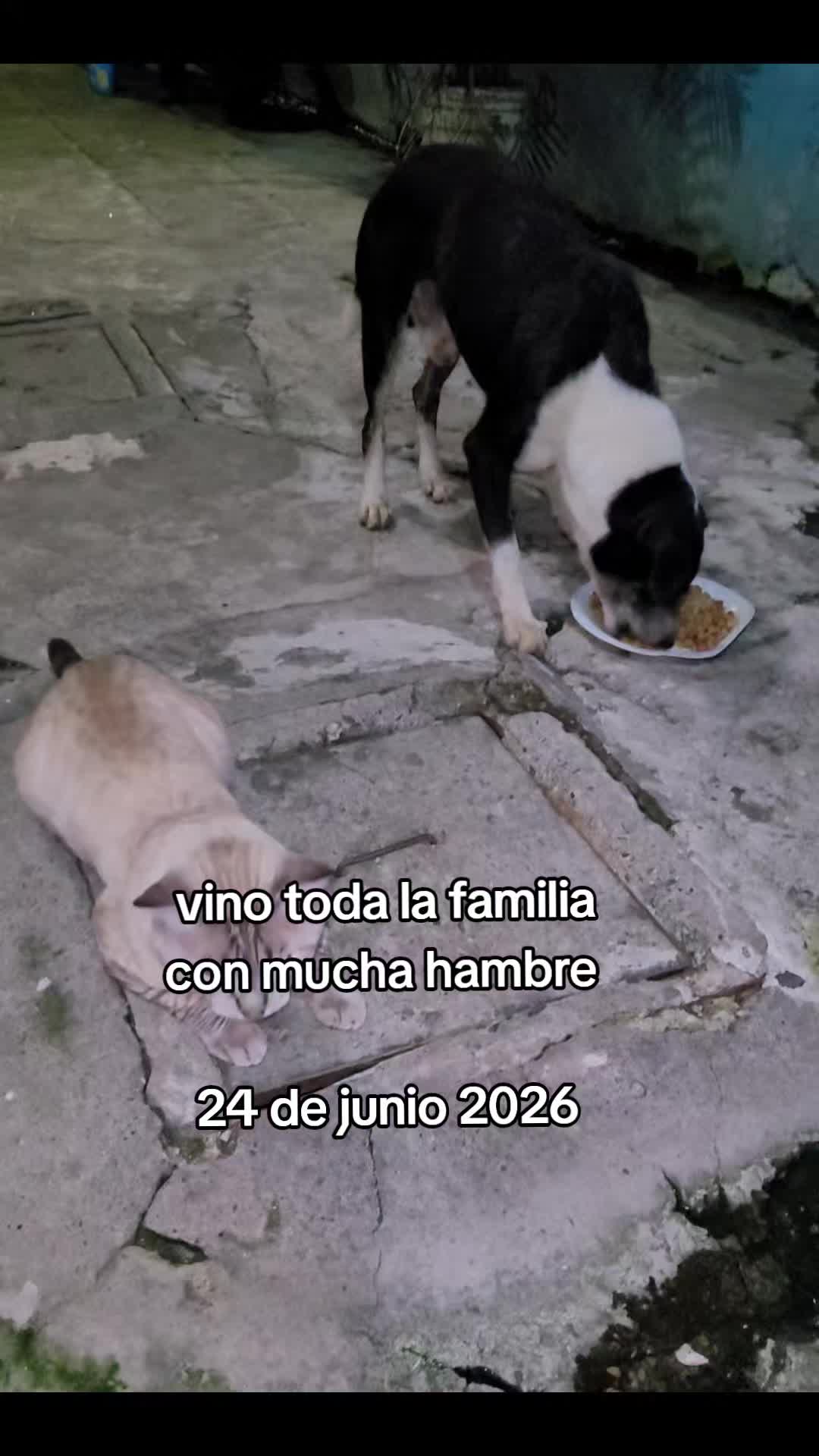 @𝕃𝕚𝕤𝕤 ℝ𝕖yes🇸🇻