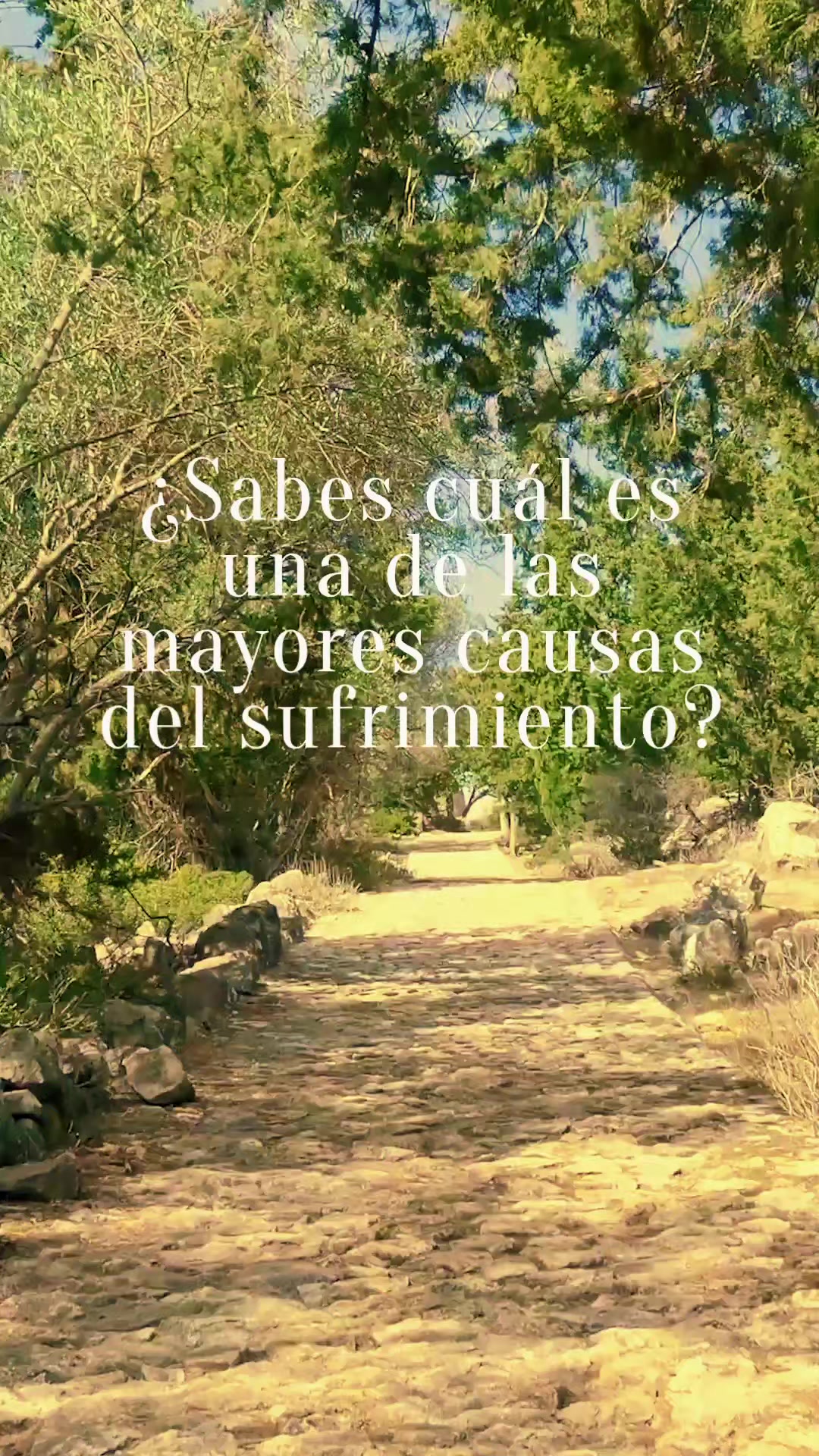 @AnaCe S Gonzales