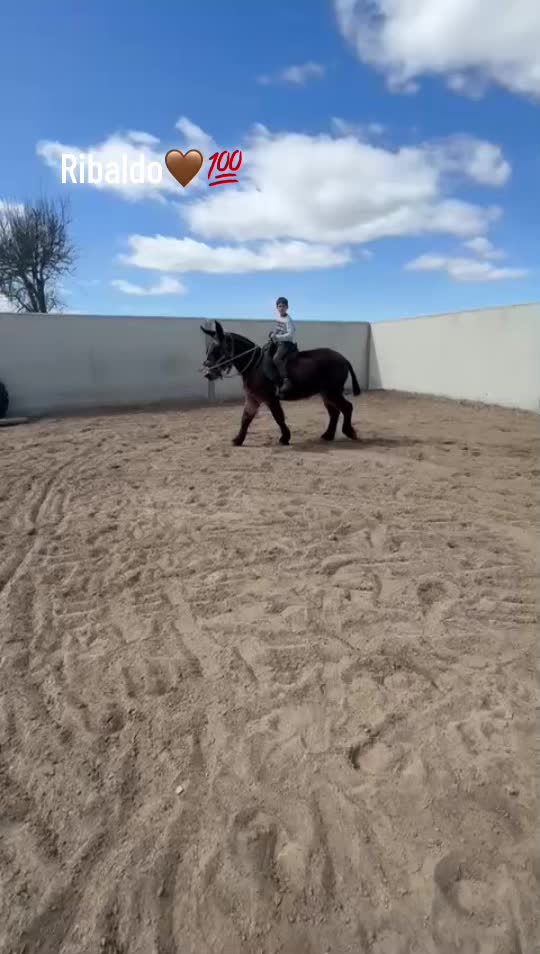 @mario_ar16🇪🇸