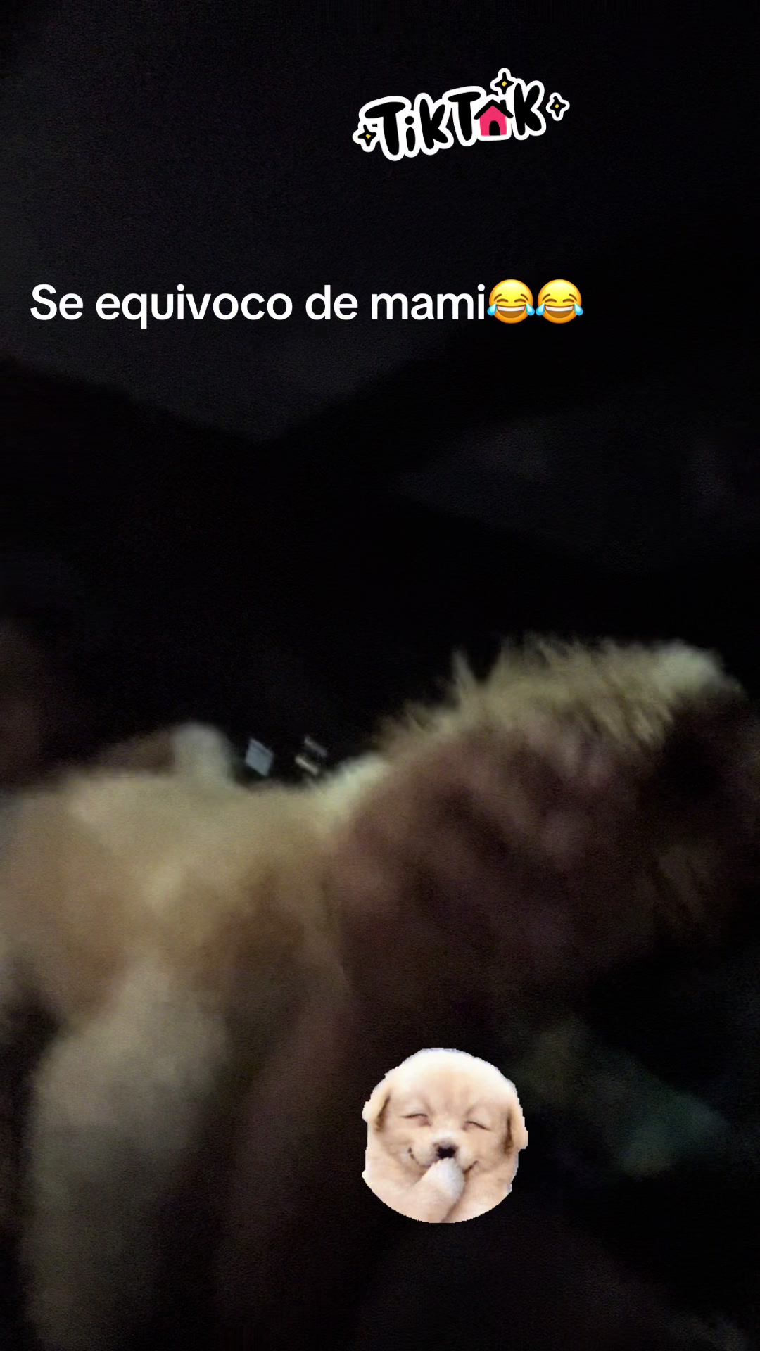 @DANIEL el TENTON