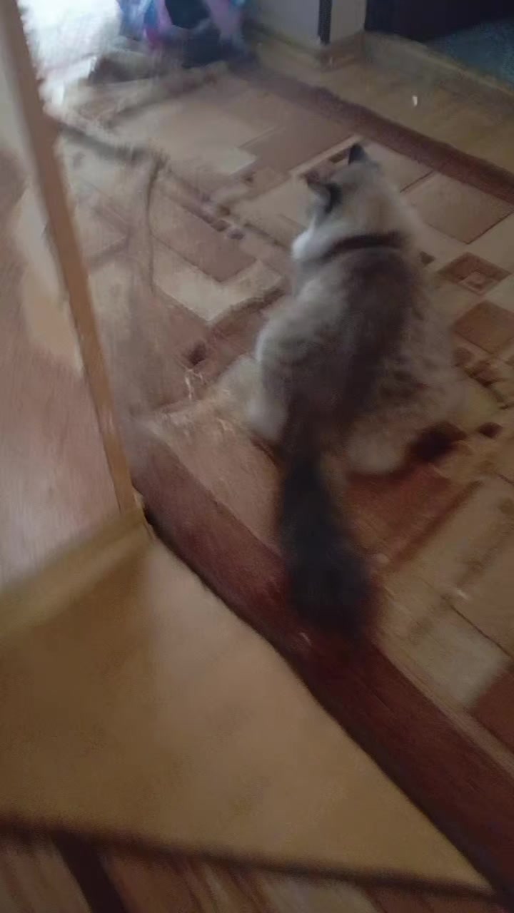 @Люблю  Piво❤️ 🇩🇪🇳🇱🤝🇷🇺
