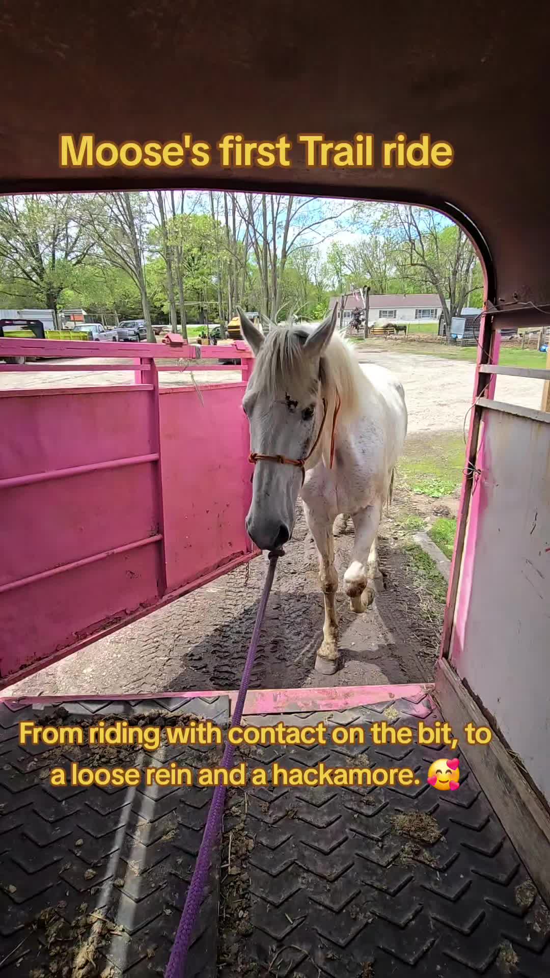 @Small Town Farm LLC