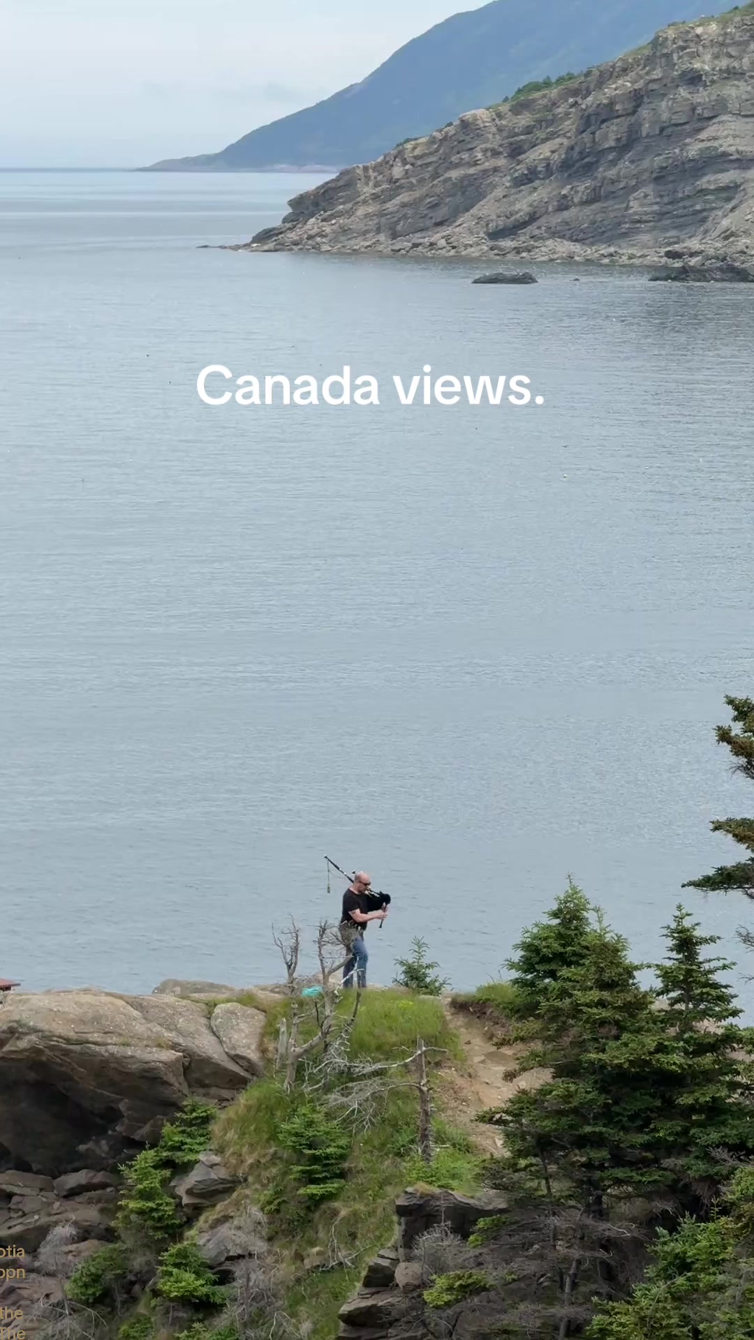 @jonmctavish