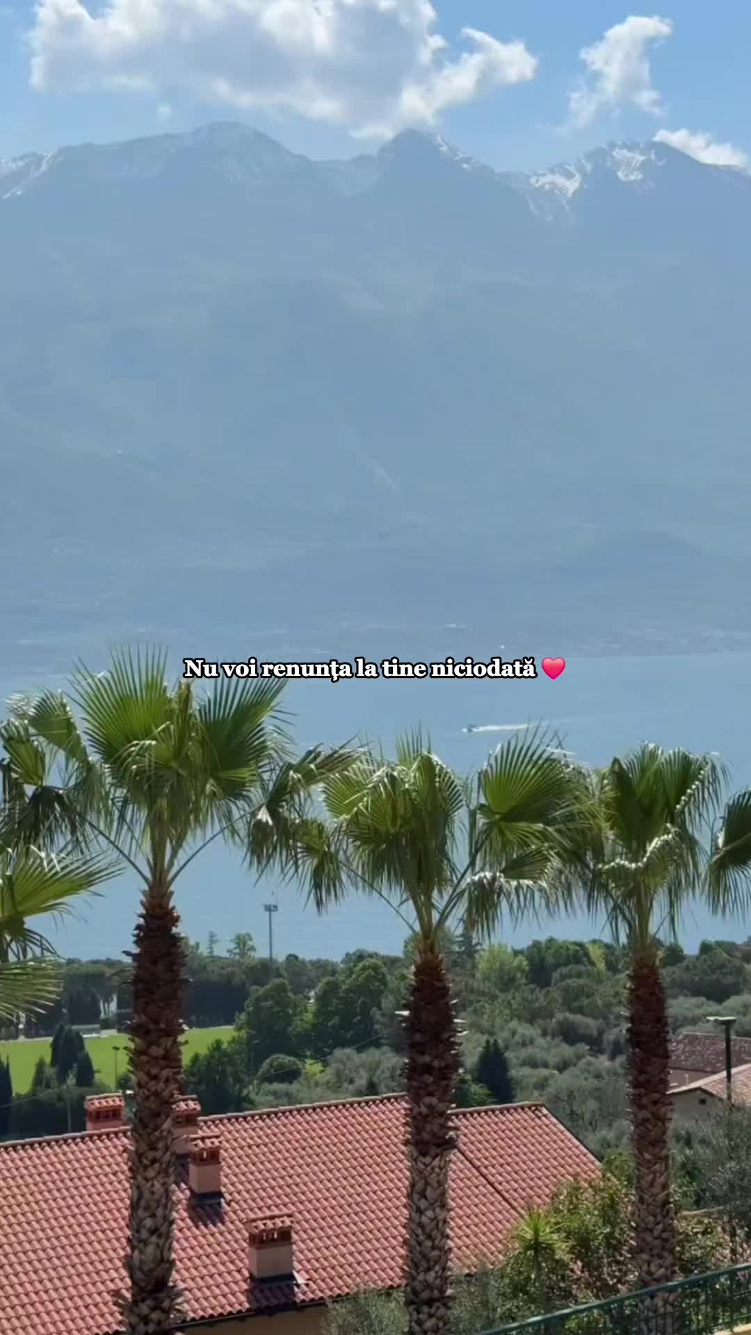 @Crișan Bogdan