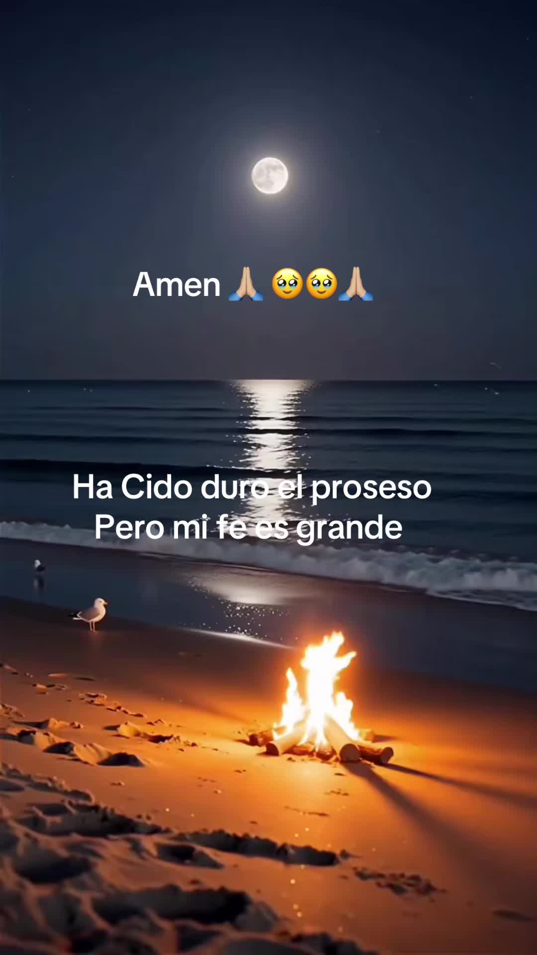 @karly Ramirez