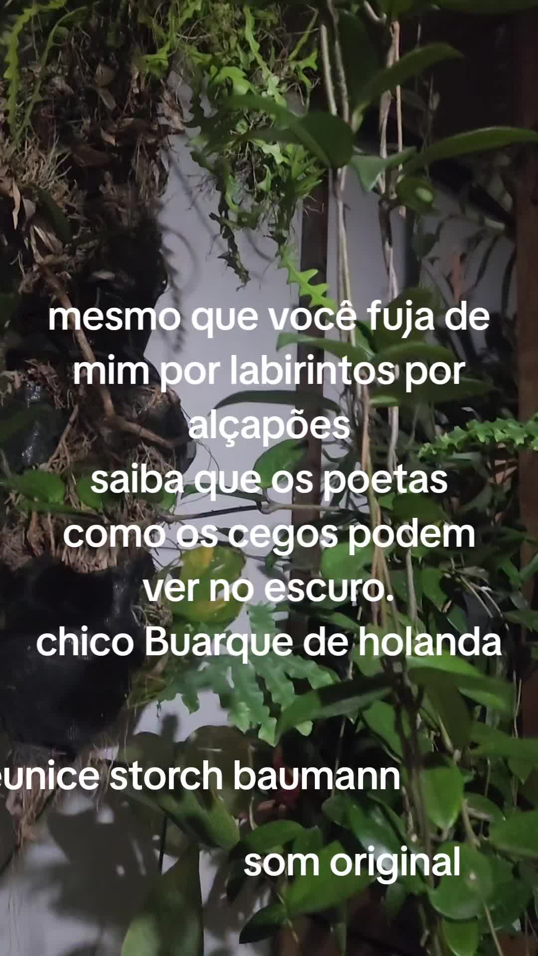 @Eunice Storch Baumann