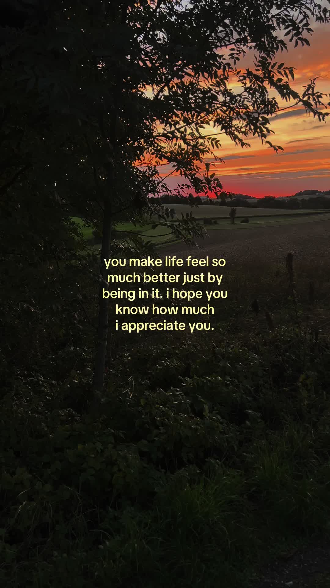 @✧