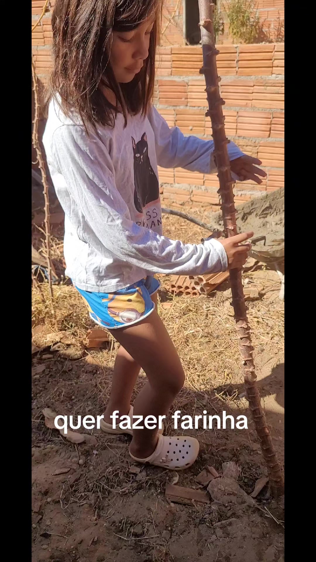 @Professor Barbosa4