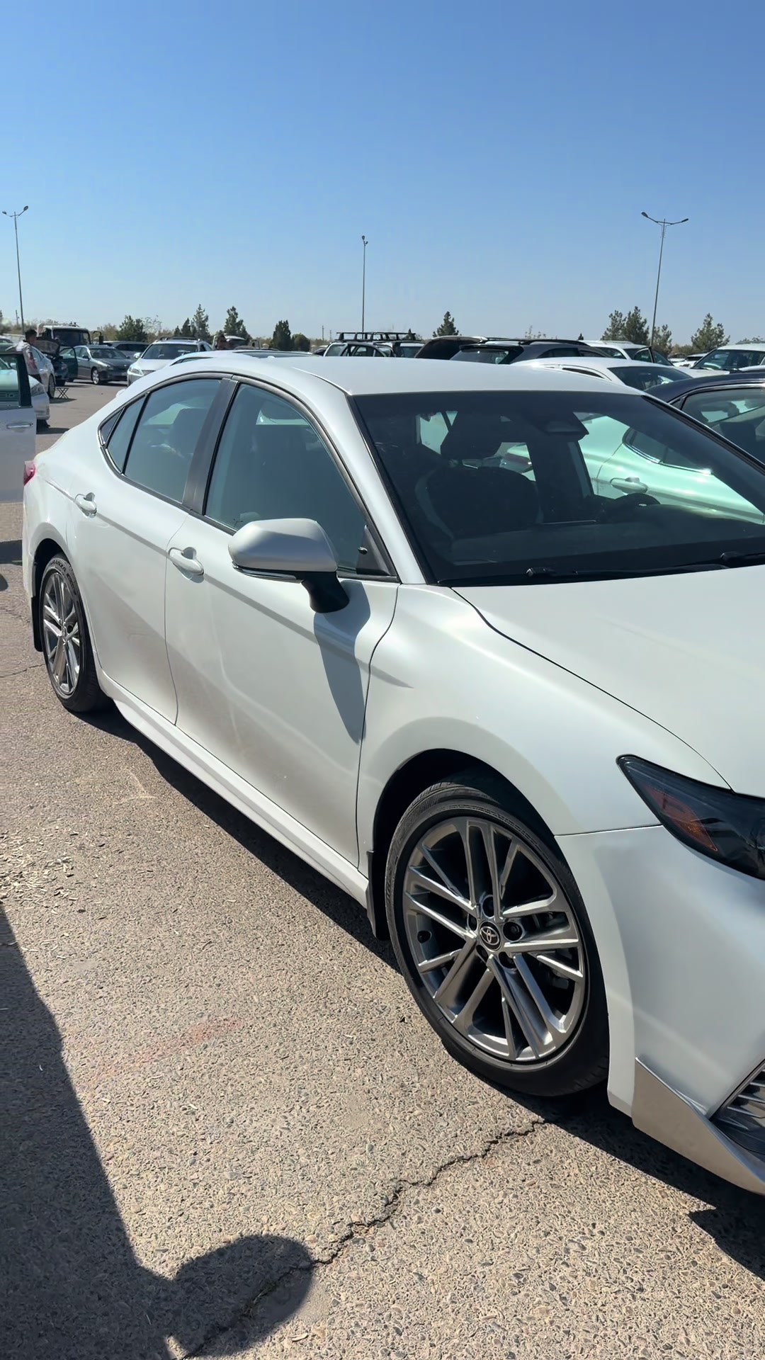 @Auto Cars . TM
