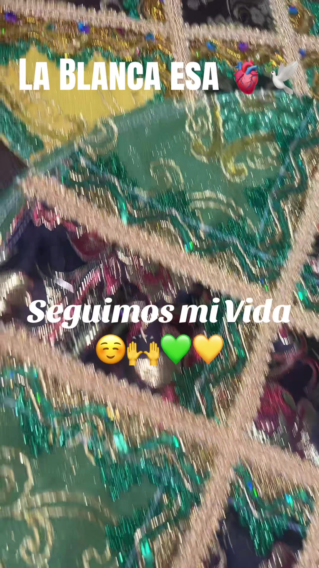 @Lacasadeeggun🤍🖤