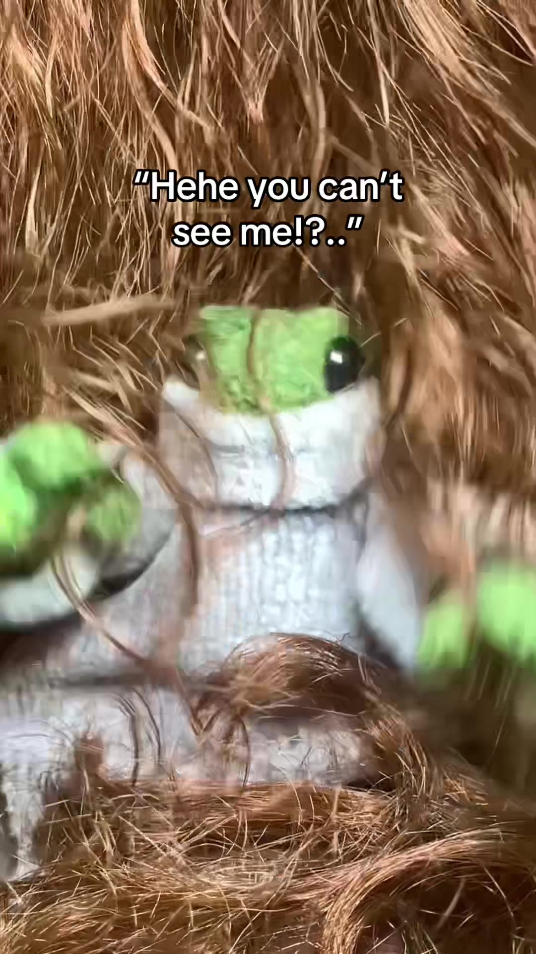 @mrfrogofficialpage