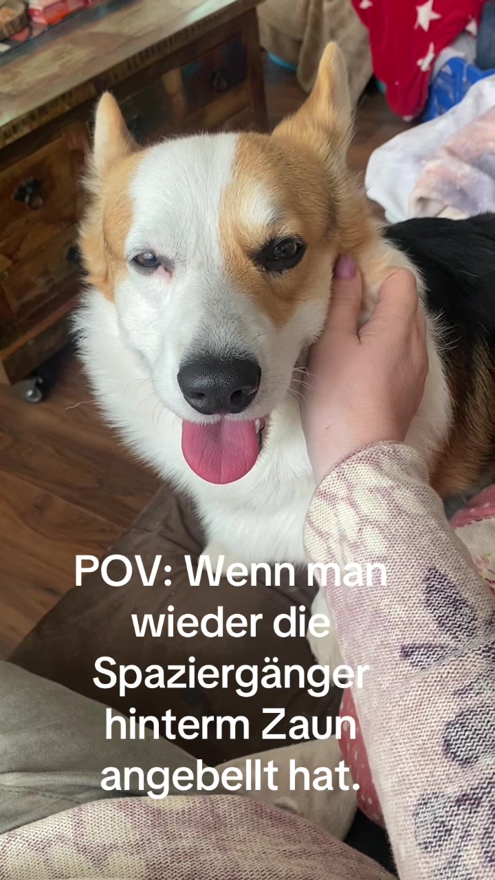 @yoshiundstitch