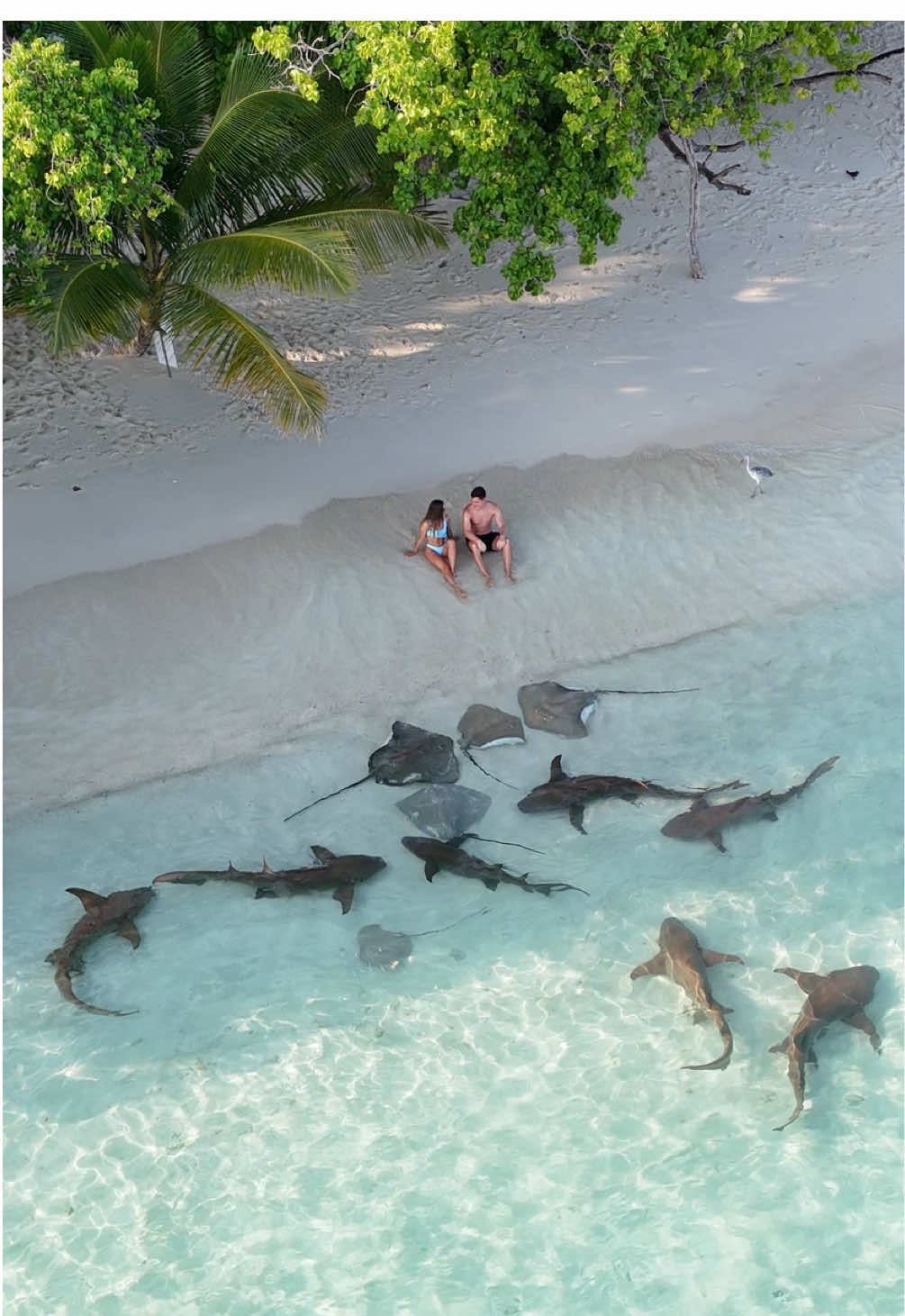 @Loveglobeparadise