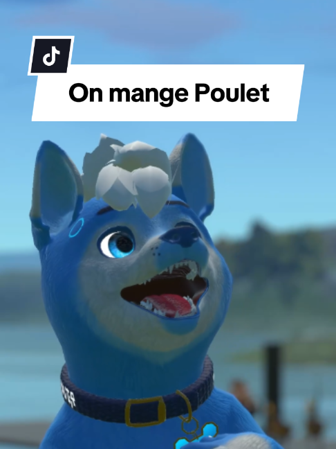 @Seaiter
