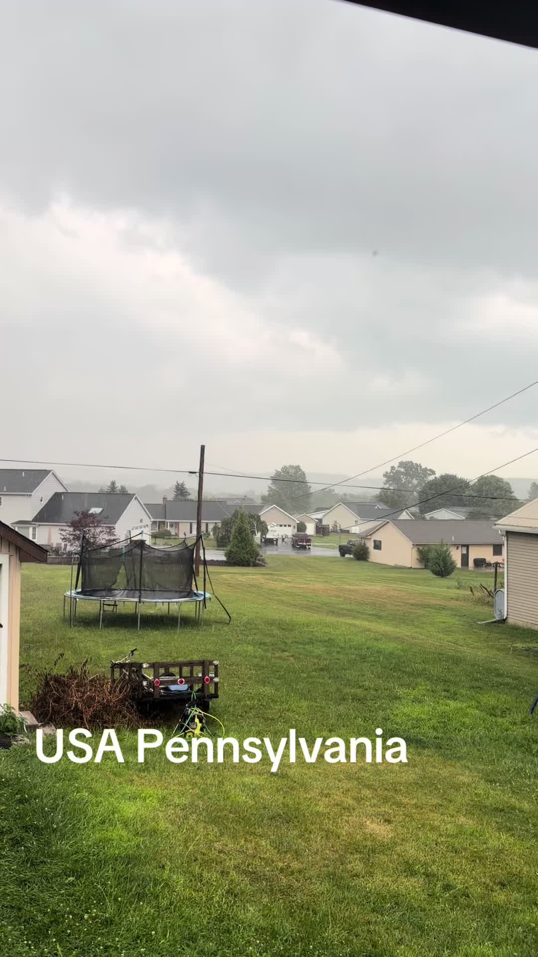 @USA 🇺🇸 Pakistani pigeon club