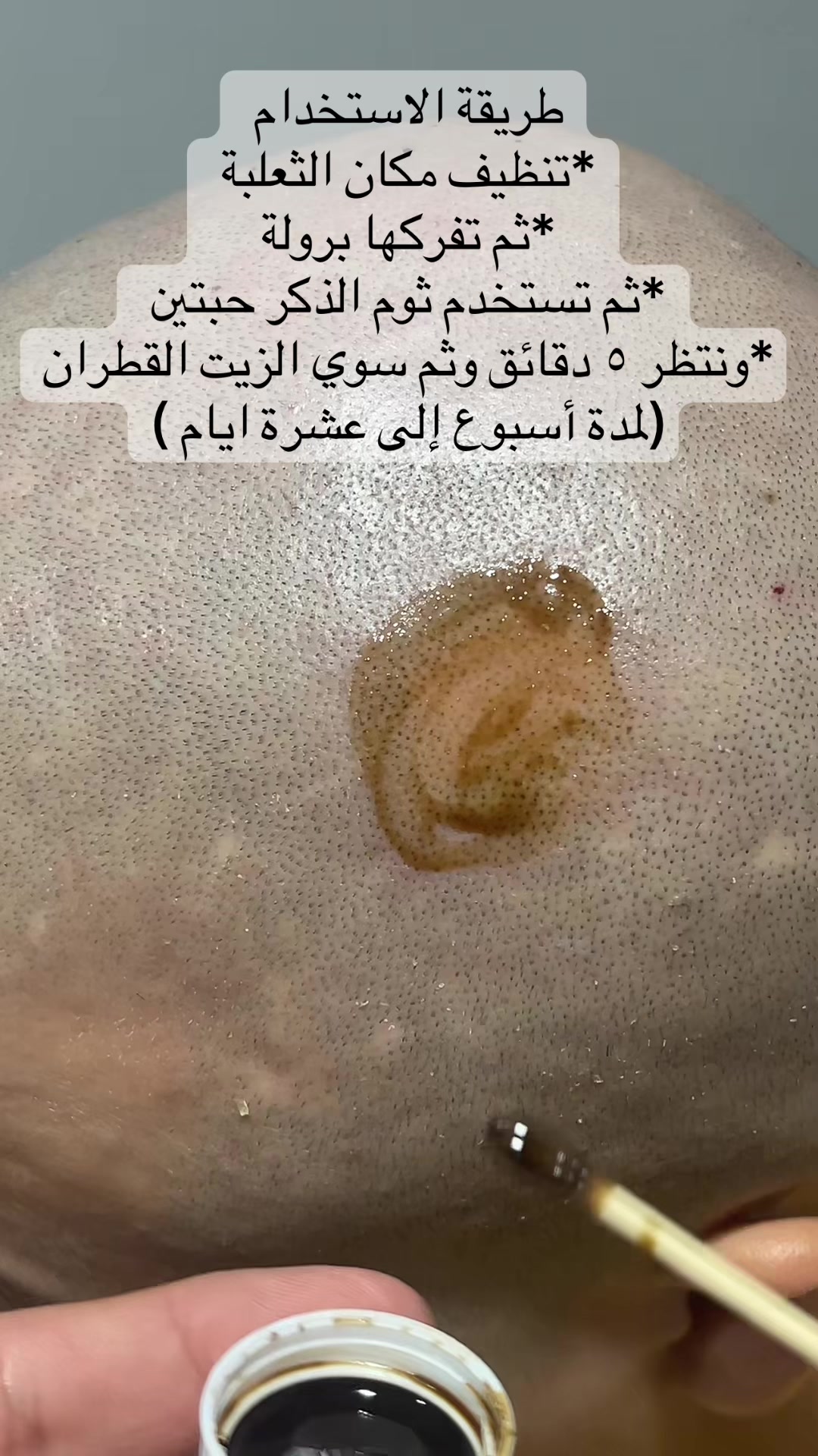 @Shehab-شهاب