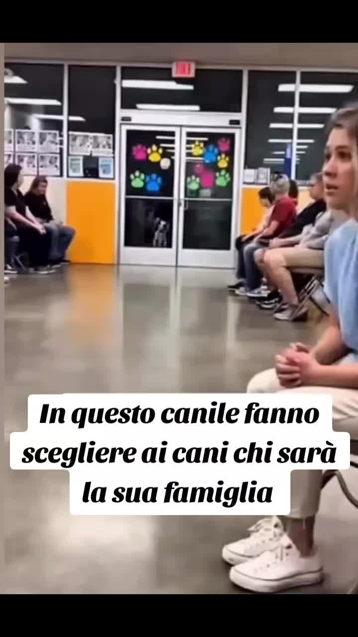 @fabio76