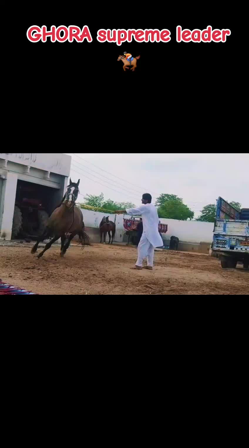 @GUJJAR BADSHAH CHAK PIRANA