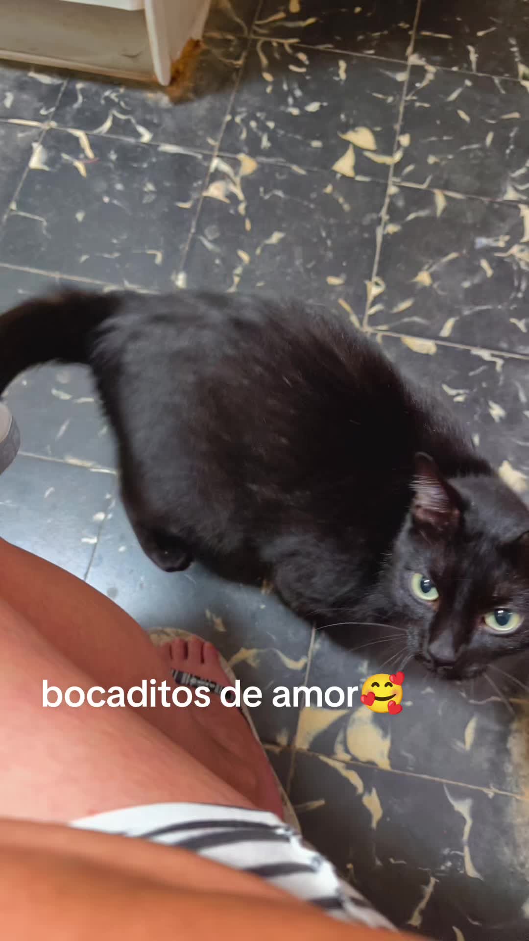 @Monicacurvy