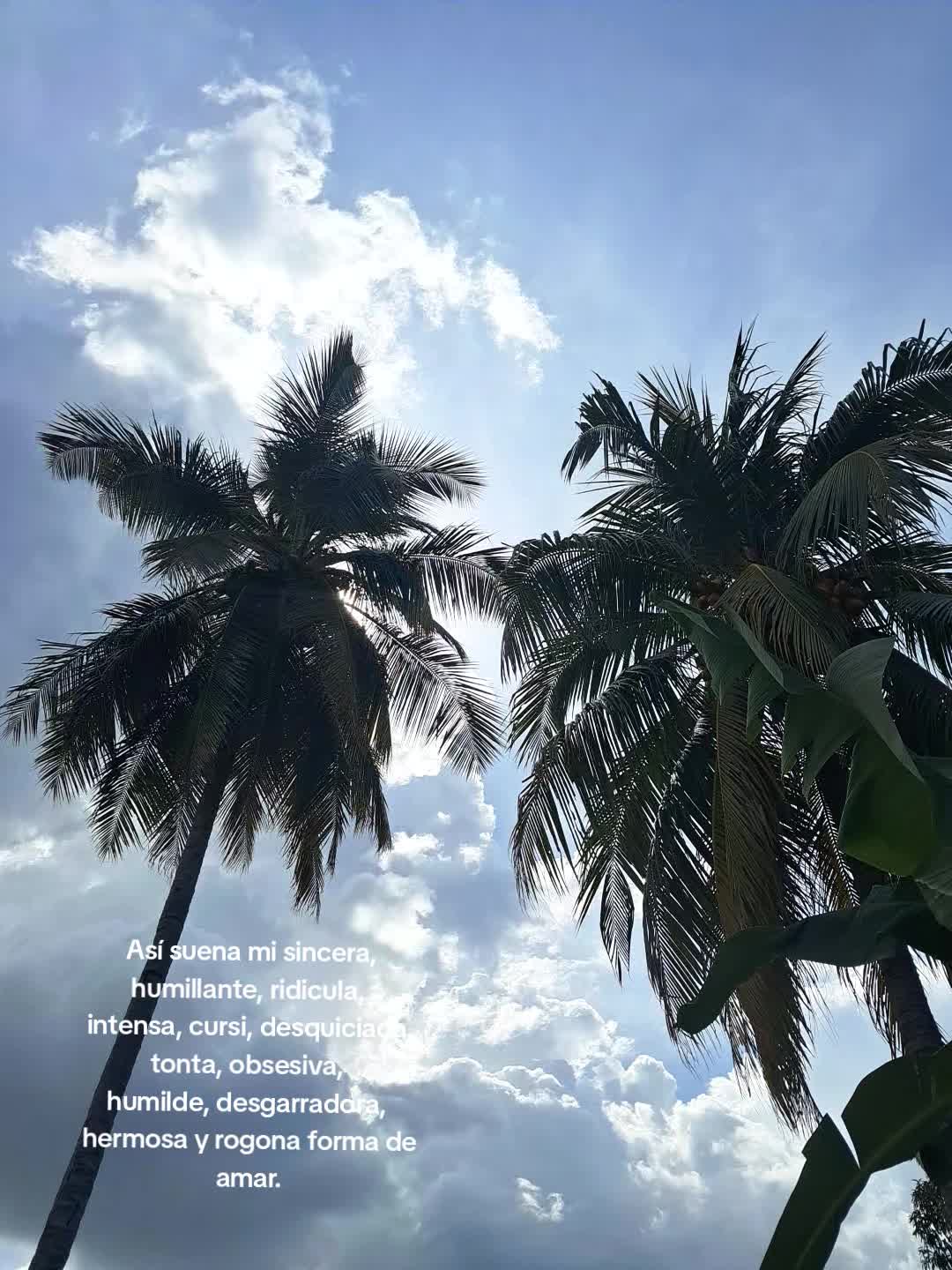 @pelisfd15